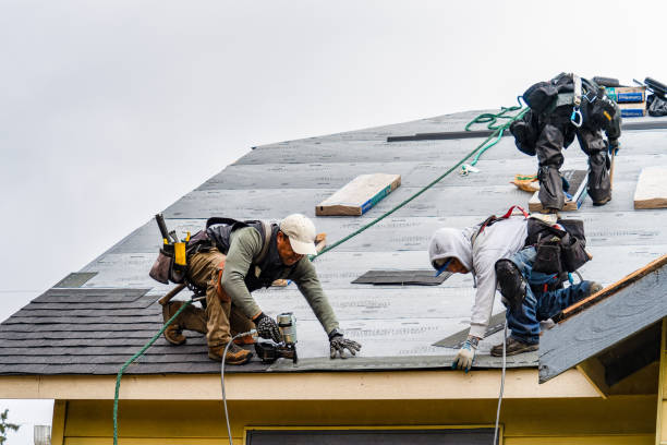 Professional Roofing technician working in Platina, CA